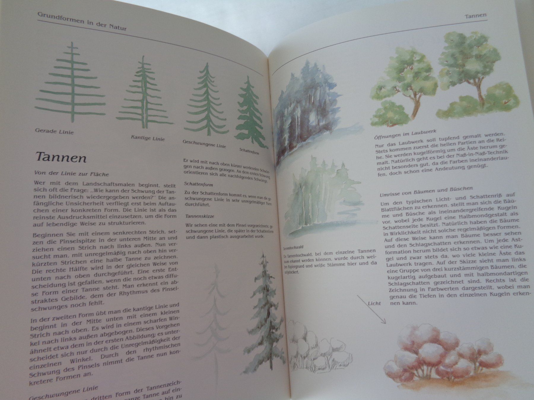 Libri: Landschaftsaquarelle Technik u.Komposition persönlichen Stil – Usato da Chur venduto da Oregano1 9