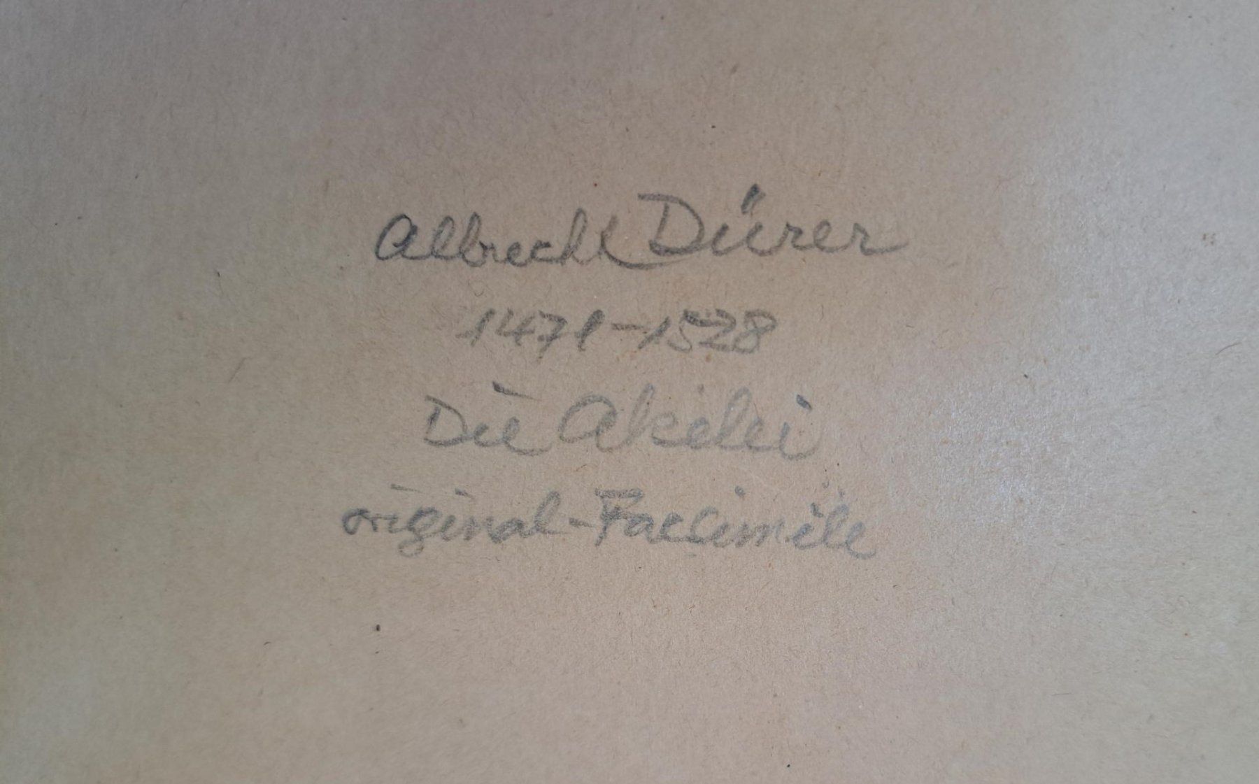 Foto & Immagini: Original Facsimile Albrecht Dürer, Akelei – Usato da Basel venduto da Patiscat 2