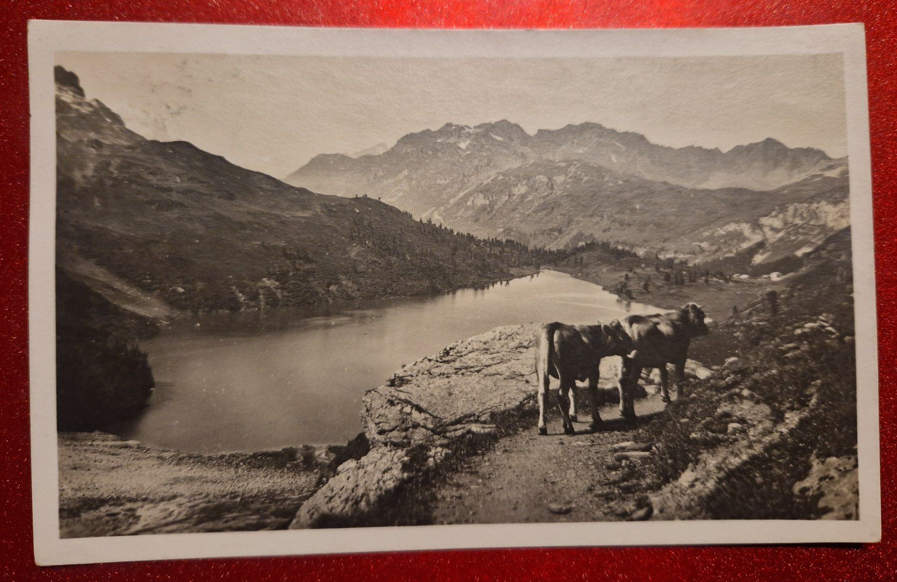 Cartoline postali: Kurhaus Engstlenalp, Jochpass 1925 – Usato da Melchnau venduto da Arthurius