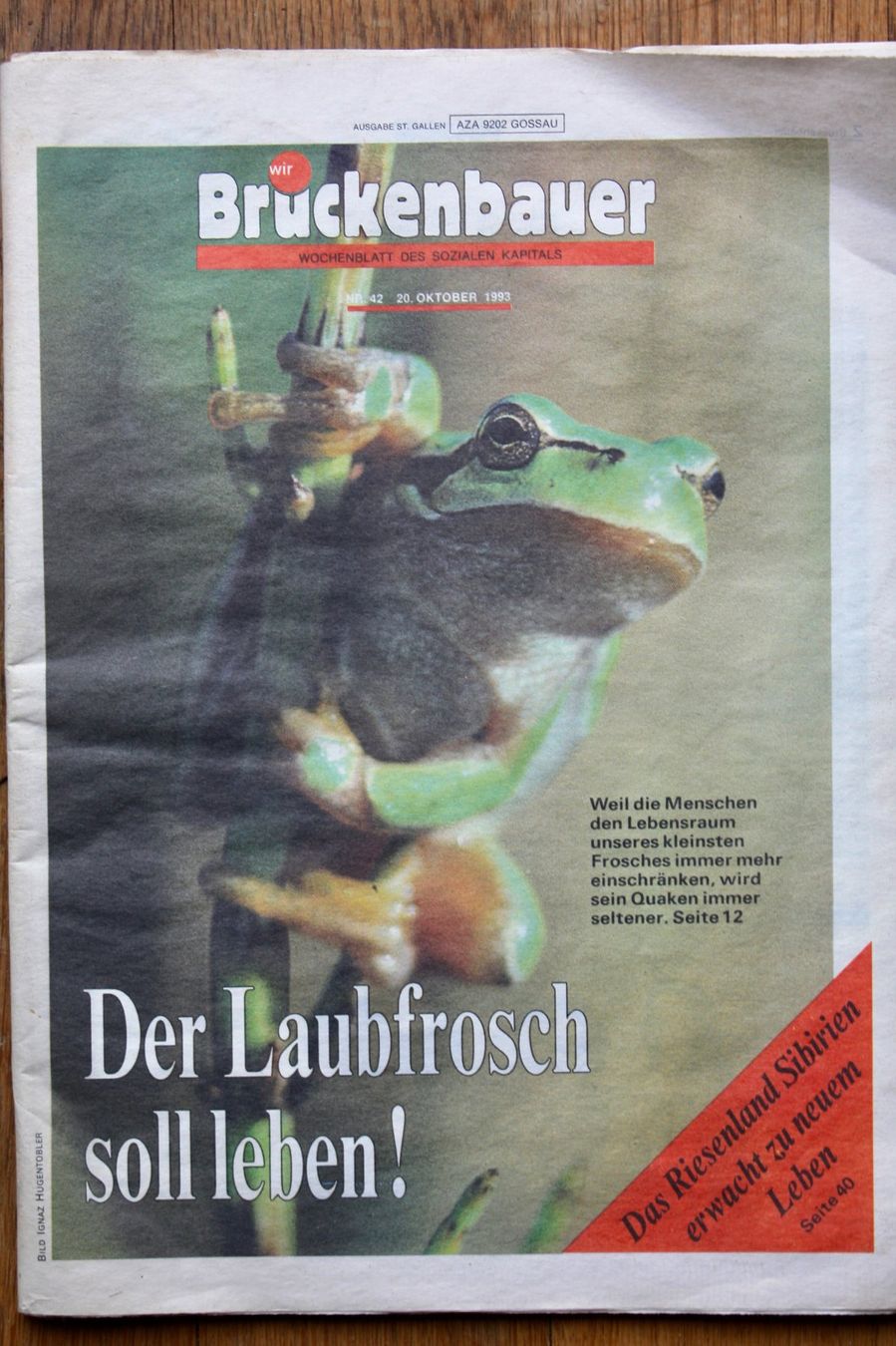 Riviste & Magazine: "Brückenbauer" Oktober 1983 – Nuovo (secondo la descrizione) da Altstätten SG venduto da alpalfa