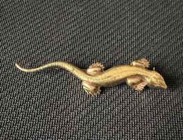 Goldfarbene Vintage Eidechse Brosche, Top Zustand!