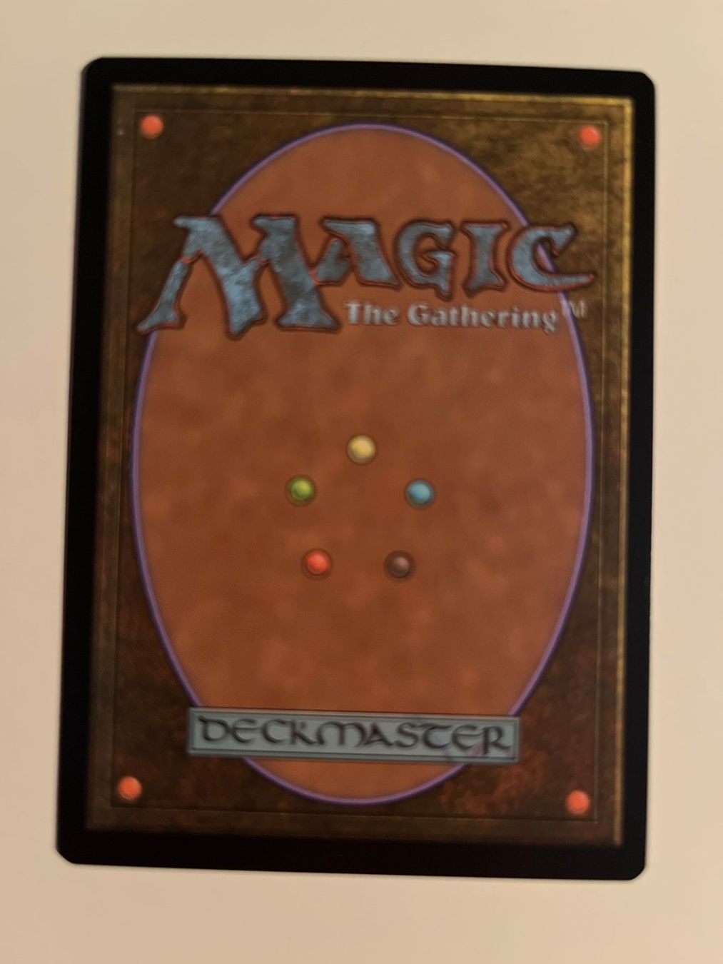 Magic The Gathering Carte collezionabili: 1 x Wilde Landschaften - Magic: The Gathering - MtG – Usato da Kriens venduto da Shadi1980 1