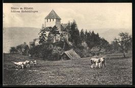 Stein a. Rhein, Schloss Hohenklingen, K