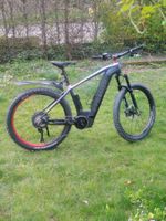 E-Bike E-Framer Mountainbike gebraucht ca. 834 km gefahren.