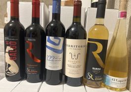 Lot de 6 bouteilles de vin espagnol Ribera, Rueda…