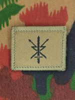 Funktionsabzeichen Führungsstaffelsoldat, Variante 1