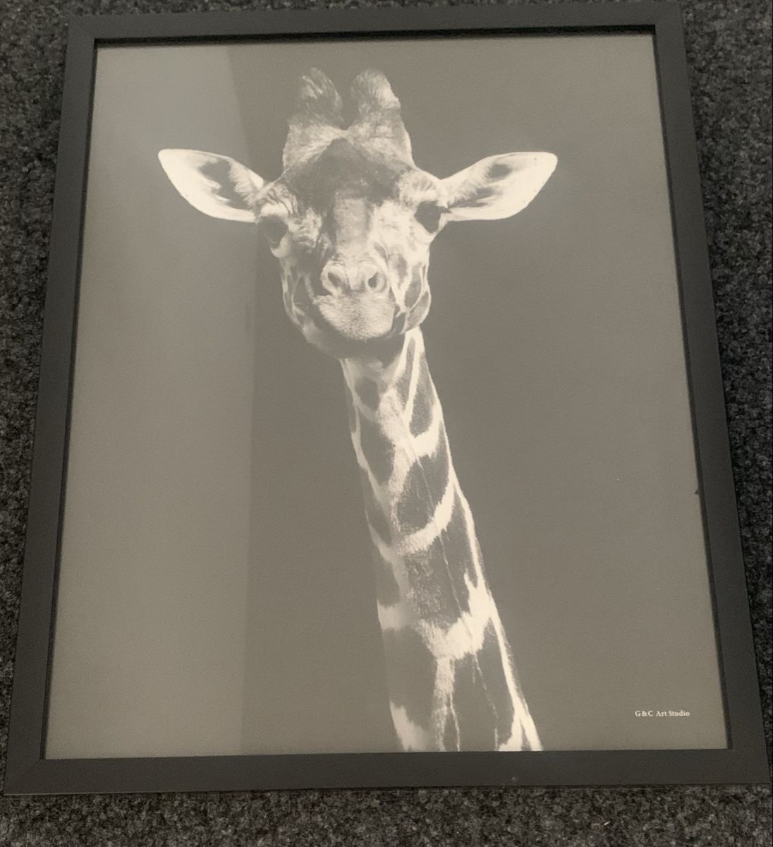Foto & Immagini: Bild Giraffe – Usato da Birmenstorf AG venduto da MartiniRacing