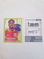 Panini Sticker PAN7