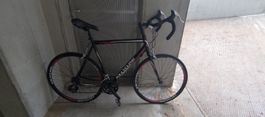 KS Cycling Eurus Rennrad – geeignet für ca. 180–190 cm