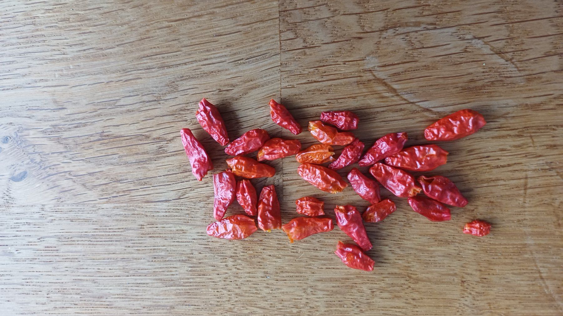 Piante & sementi: Wild Chili Samen aus Uganda – Nuovo (secondo la descrizione) da Neftenbach venduto da QuiQuo 1