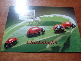 Maximumkarte 2015, Glückskäfer, o Ausgabetag