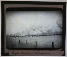 Glasdia Kalifornien Steppenbrand, um 1930