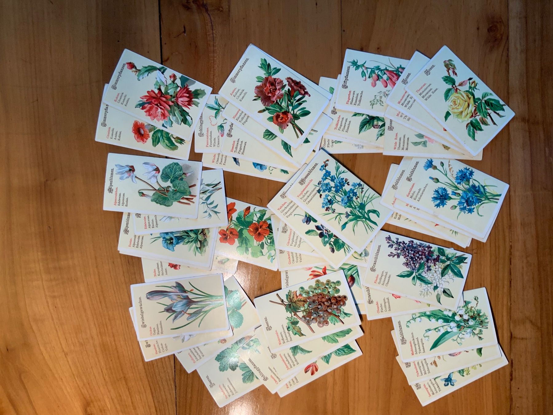 Giochi: Blumen Quartett, antik, ca. 1920 – Usato da Basel venduto da Smilli24 1