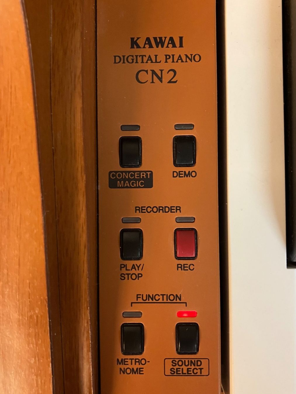 Kawai Strumenti musicali: Kawai Digital Piano – Usato da Sargans venduto da ika_6ffj 3
