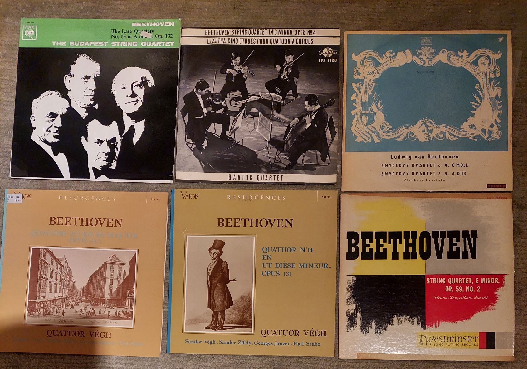 Dischi in vinile: 20 LpS mit Streichquartetten von Beethoven – Usato da Zürich venduto da Cortin 1