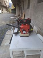 Dolmar Laubblaser