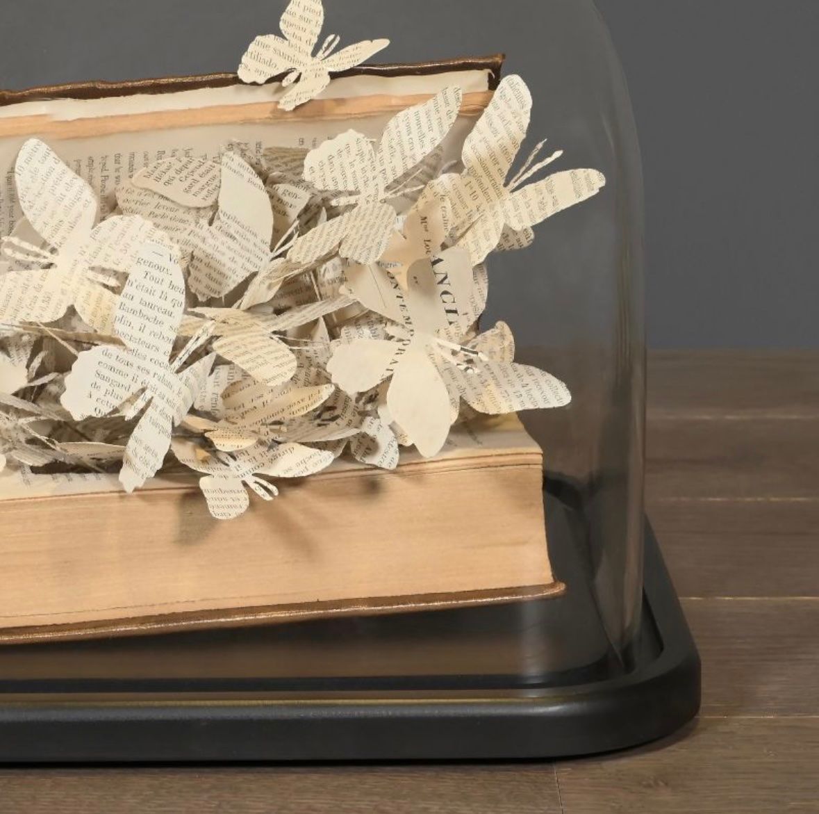 Il mondo degli animali: Papillons sous dôme – Nuovo e nell'imballaggio originale da Biel/Bienne venduto da Dragonpandora 2