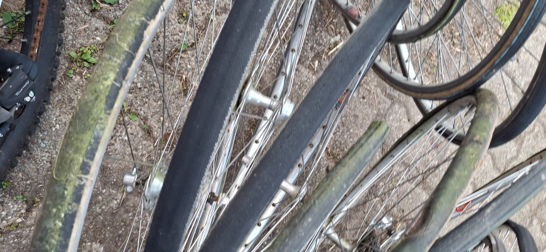Velos: 15 Rennvelo Laufräder – Gebraucht aus Kyburg von JBMNT2020 3