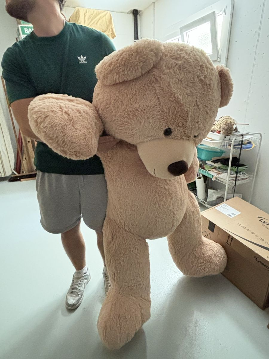 Giocattoli: Grosser Teddybär – Usato da Oberrüti venduto da chi_68h7 1