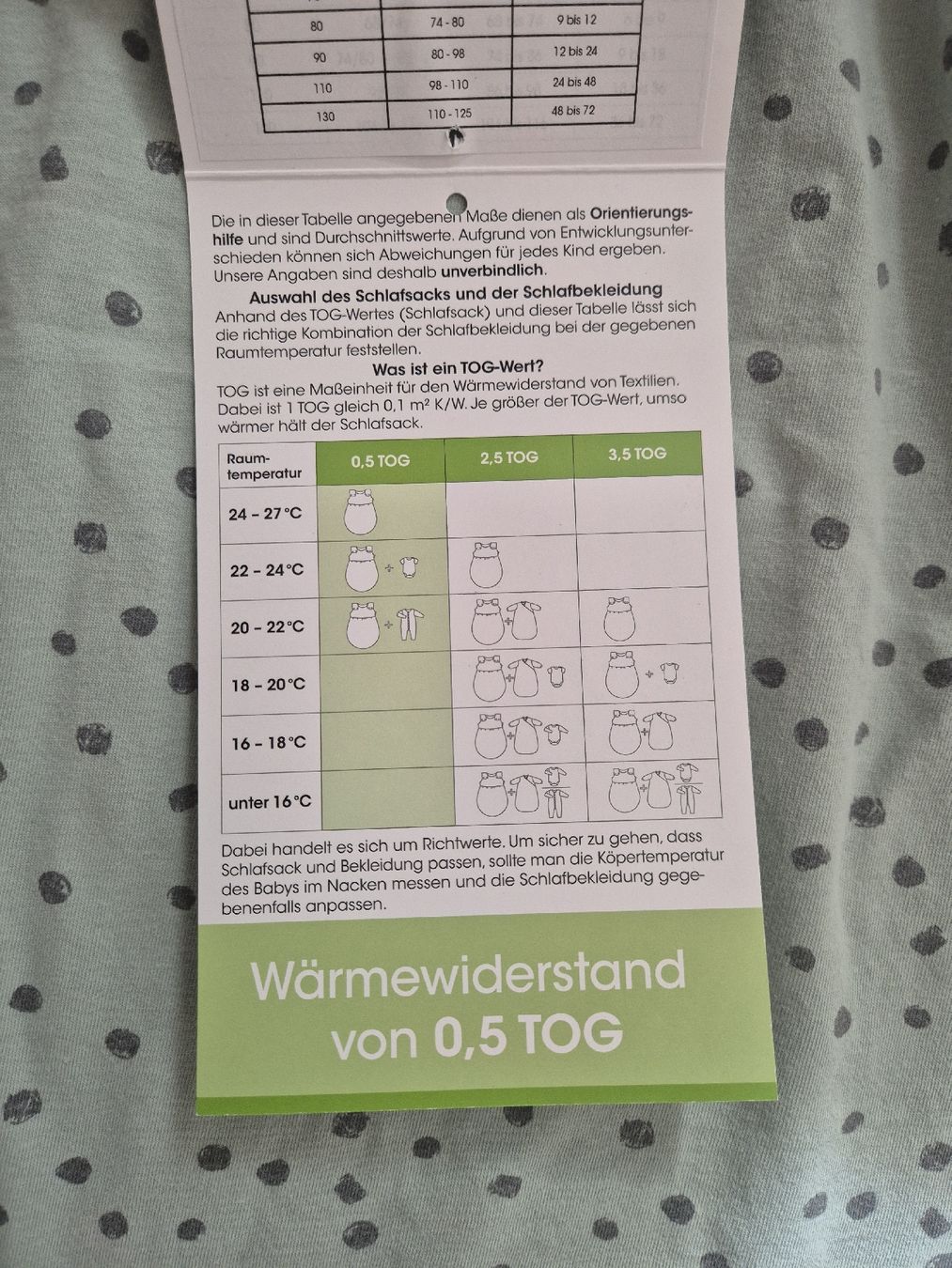 Sacchi a pelo: Odenwälder Schlafsack Coolmax 110cm – Usato da Zizers venduto da .sternli. 2