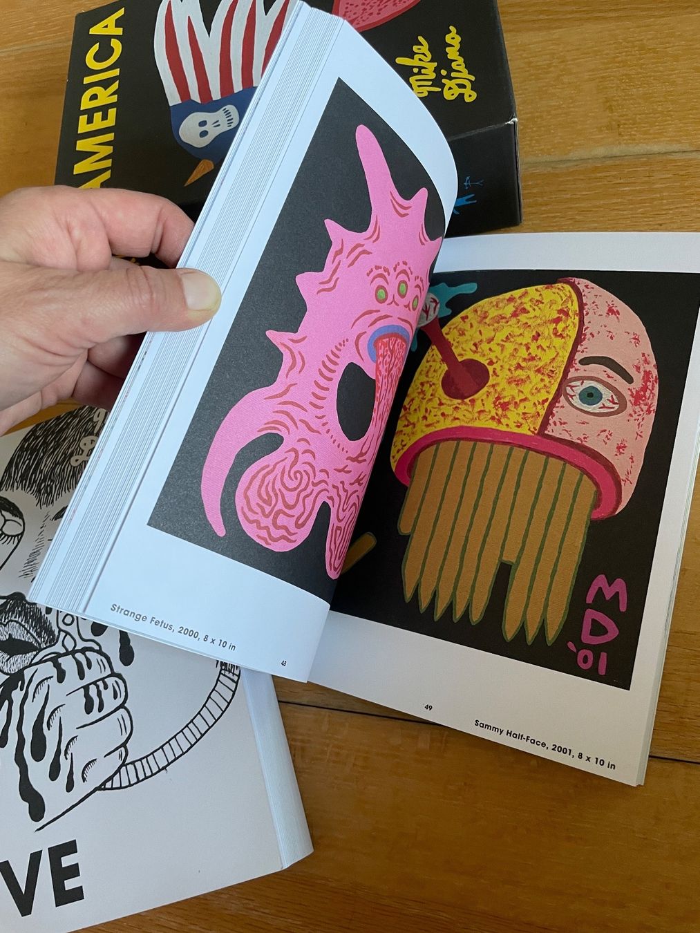Fumetti: America Mike Diana – Usato da Zürich venduto da iphigenie666 5