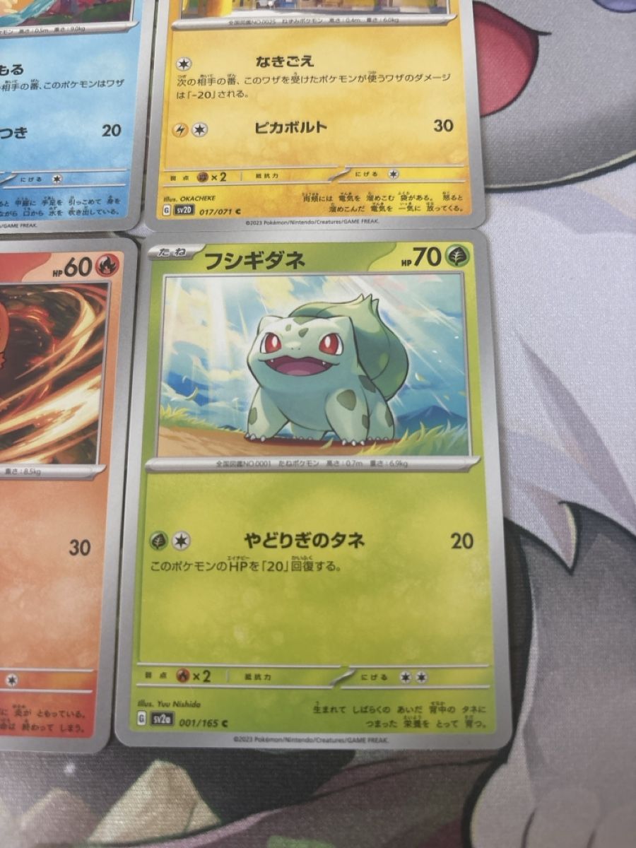 Pokémon Carte collezionabili: Pokemon Karten Set Squirtle Charmander Bulbasaur Pikachu – Usato da Dietikon venduto da PokemonSwissSpotify 4