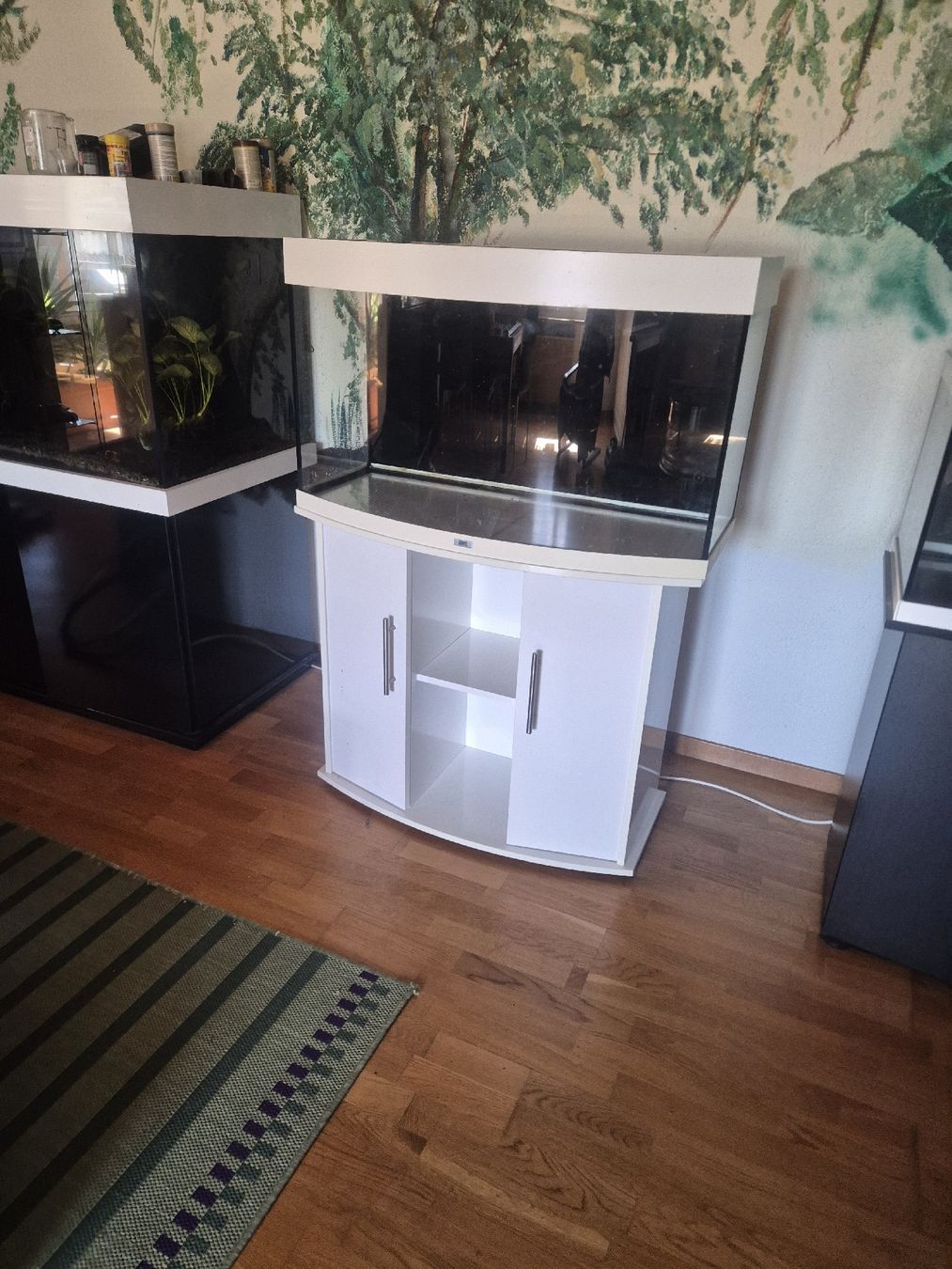 Juwel Acquari: Juwel Vision 180 – Usato da Schnottwil venduto da Rooneeyy