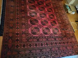Grosser afghanischer Buchara Teppich