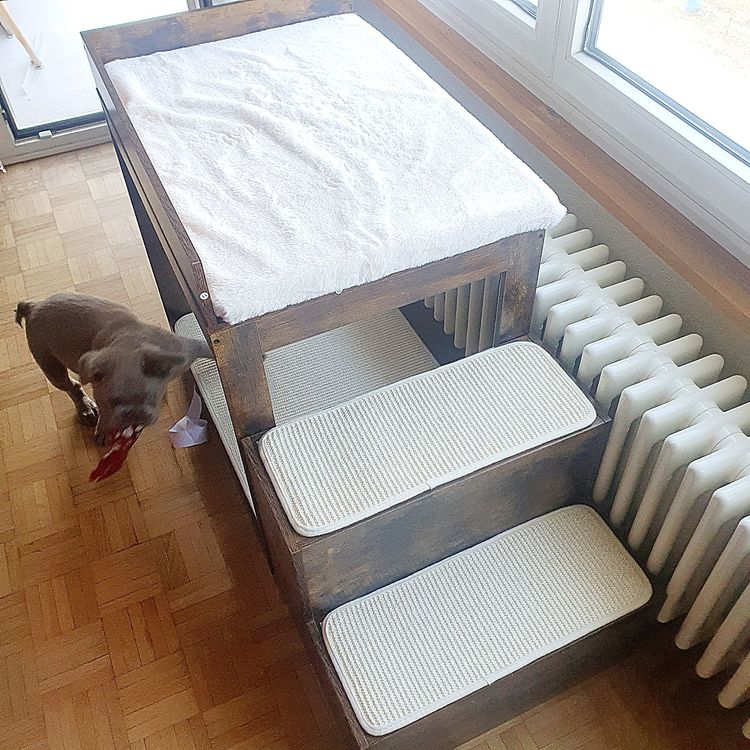 Hunde Hochbett mit Treppe** Hitpreis (Neu (gemss Beschreibung)) in fr CHF  90  nur Abholung auf Ricardo kaufen