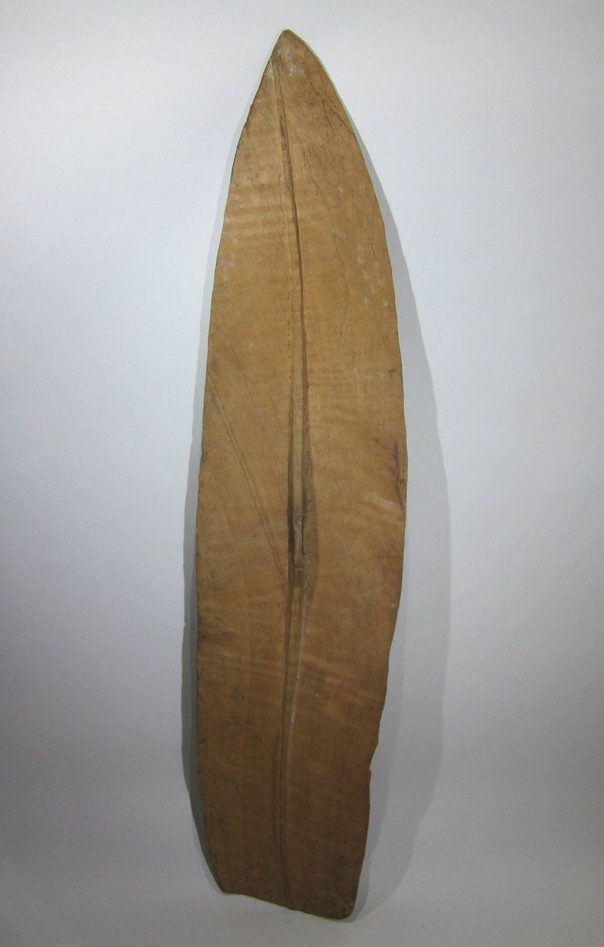 Schilder: Schild der Asmat – Gebraucht aus Bäretswil von robsonantik 4