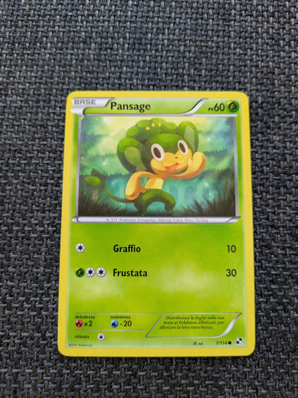 Pokémon Carte collezionabili: PANSAGE, BLACK & WHITE, BLW7, COM, 2011, ITA, GD – Usato da Losone venduto da AlpineLayer
