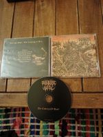 decrepit soul - the coming...
