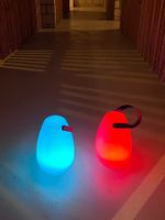 LED Outdoor Leuchten 2er Set (mit Farbwechsel)