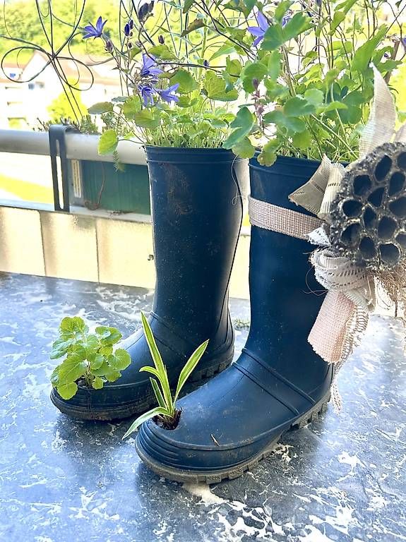 Scarpe da donna: Gummistiefel als Blumentopf  – Usato da Frauenfeld venduto da Irene.Schuppli 2