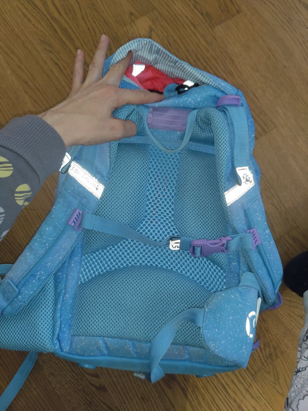 Borse & Zaini: Beckmann Rucksack Feen – Usato da Obernau venduto da ChooseWisely 1