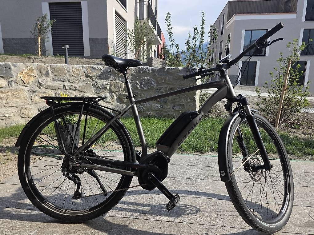 Biciclette: Stoke Lumen 28" E-Bike  Bosch Performance Line – Usato da Chur venduto da and_7nxd 3