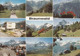 Braunwald 1977
