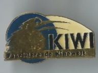 Plaketten & Abzeichen: Kiwi Kinowelt, Pin – Gebraucht aus Zürich von t24_de
