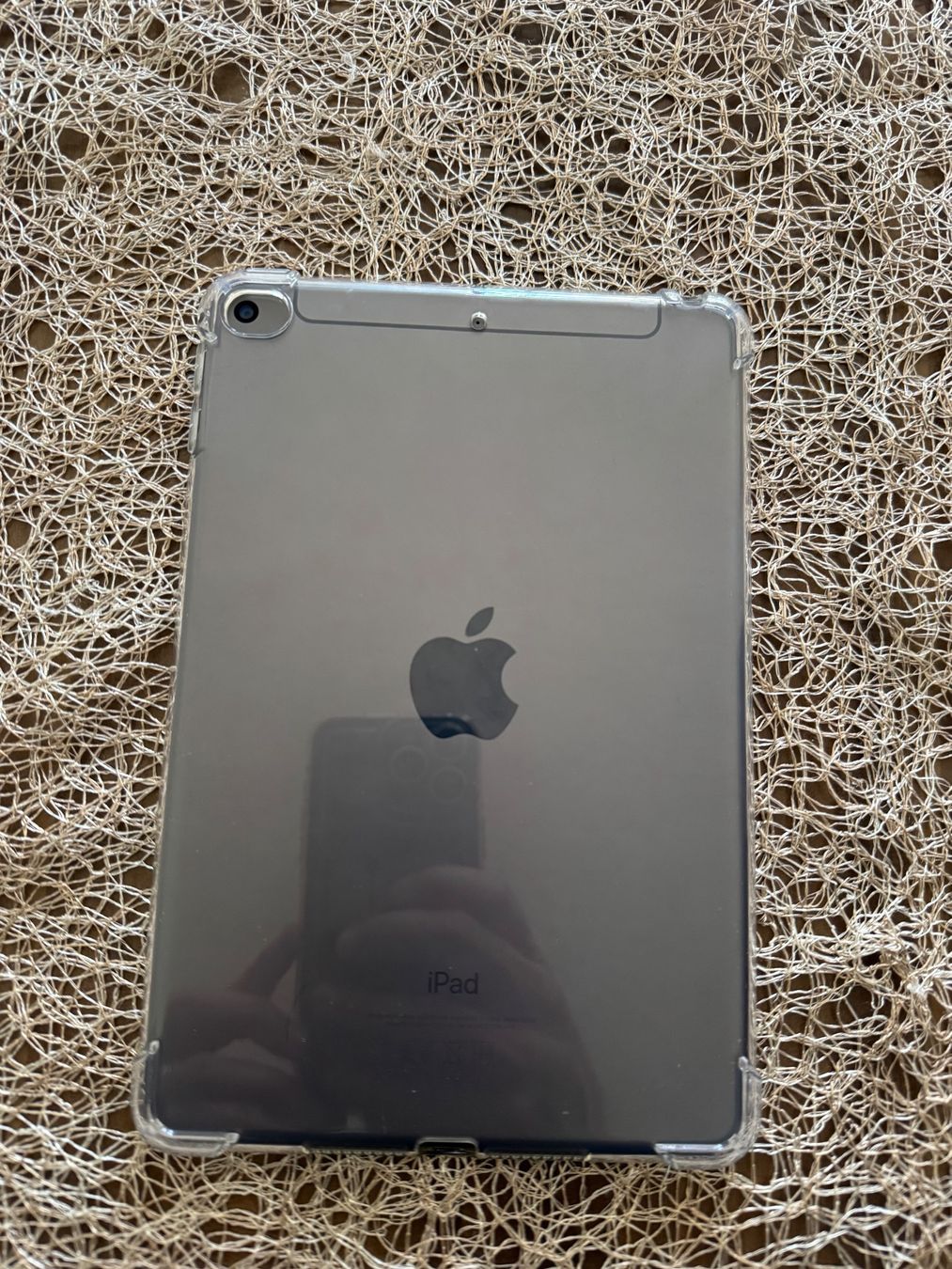 Apple Tablet PC: iPad mini 5 256gb+sim – Usato da Visp venduto da leo_ng7b 1