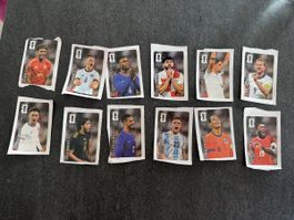 Coca Cola Panini Bilder 12er Set, WM 2026