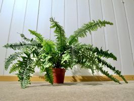 Kunst Farn Deko Kunst Pflanze Plastik Farnkraut künstlich