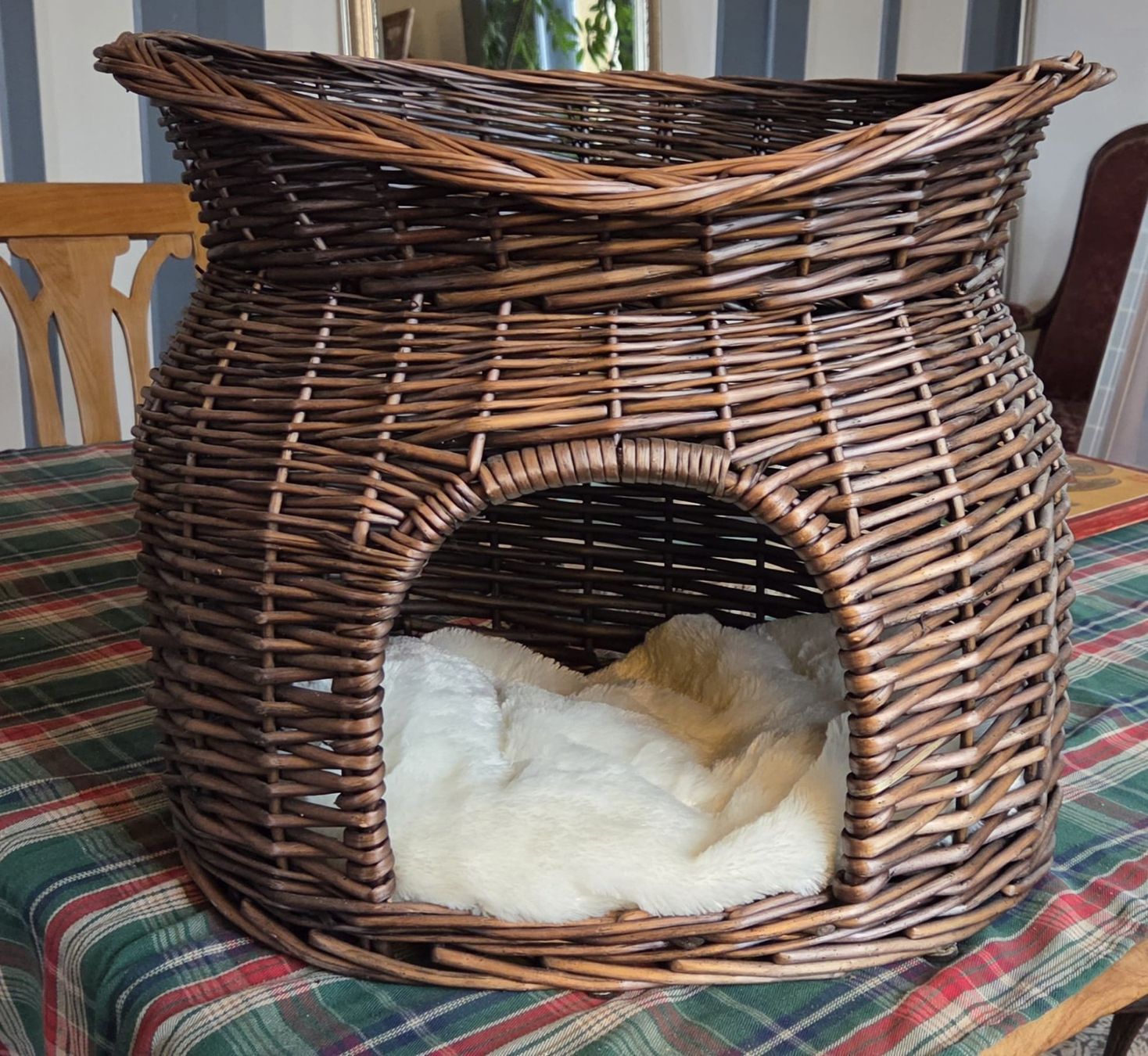 Cucce & Letti: Corbeille pour chat – Usato da Neuchâtel venduto da dav_jl9p