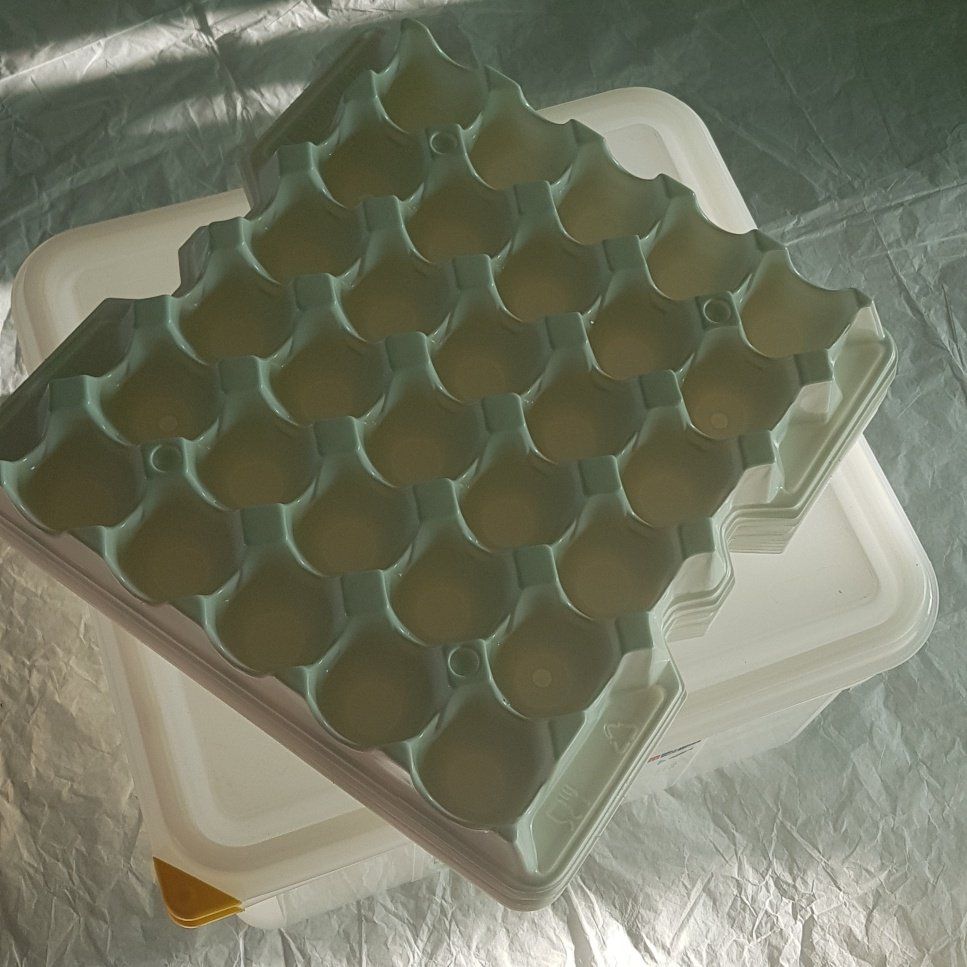 Behälter & Ähnliches: Eierbox  HACCP in Polypropylen – Neu (gemäss Beschreibung) aus Figino von mayam63 2