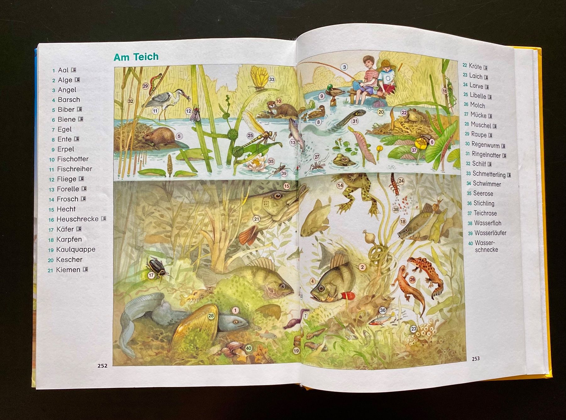 Libri: MEIN GROSSES GRUNDSCHUL LEXIKON – Usato da Nussbaumen AG venduto da schuba2000 7