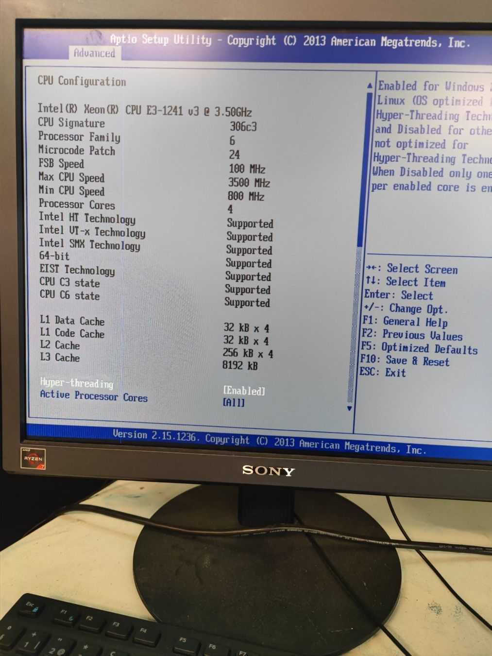 Supermicro Server: Supermicro Server (Intel E3, 32GB, LSI RAID) – Usato da Zürich venduto da initfour 3