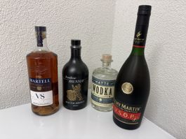 Rèmy Martin V.S.O.P.  Cognac Gin Martell Cognac Bibergin 
