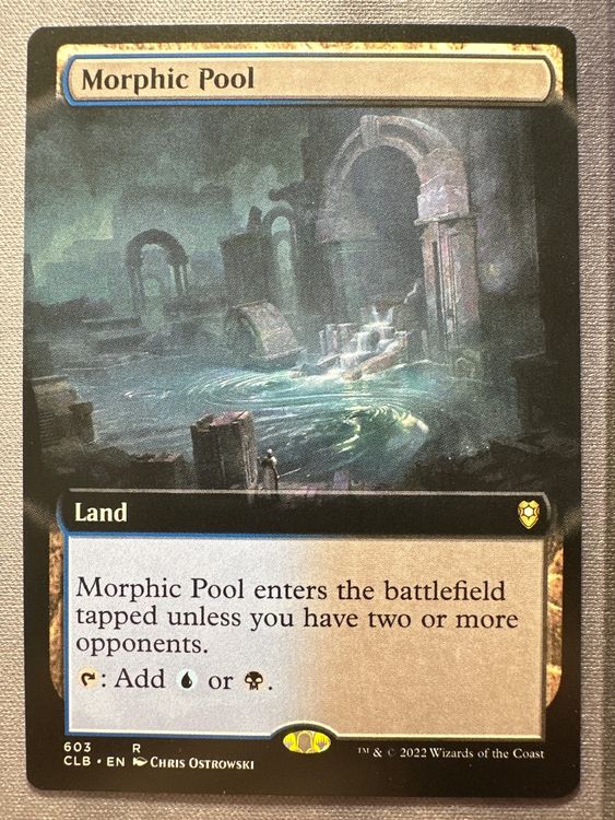 Morphic Pool Variant 603 Baldurs Gate (Neu (gemäss Beschreibung)) in ...