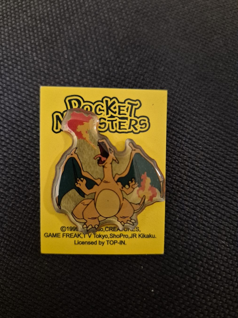 Pokémon Placchette & Badge: Pokemon Pin Glurak & Raichu – Nuovo (secondo la descrizione) da Kaiseraugst venduto da Rednelak 1