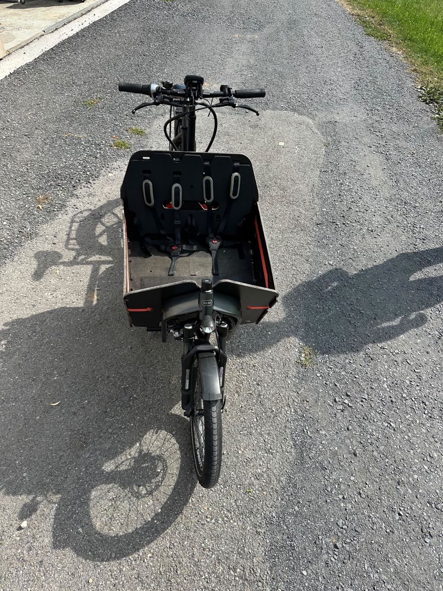 Riese & Müller Velos: Riese & Müller Packster 60 Cargo eBike/Cargo Velo – Gebraucht aus Ennetbürgen von de_dutchman 3