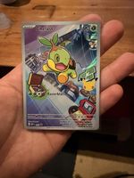 Turtwig First Partner DE